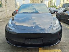 Tesla Model Y Rear-Wheel Drive - ფოტო 3