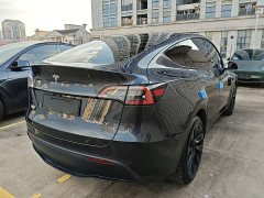 Tesla Model Y Rear-Wheel Drive - ფოტო 5