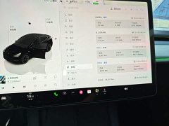 Tesla Model Y Rear-Wheel Drive - ფოტო 8