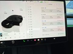 Tesla Model Y Rear-Wheel Drive - ფოტო 9