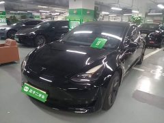 Tesla Model 3 Facelift Standard Range RWD Upgrade 3D1 - ფოტო 1