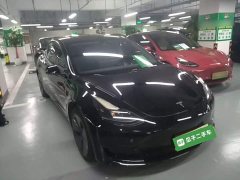 Tesla Model 3 Facelift Standard Range RWD Upgrade 3D1 - ფოტო 4