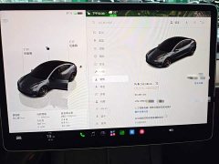 Tesla Model 3 Performance All-Wheel Drive - ფოტო 12