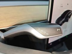 Tesla Model 3 Performance All-Wheel Drive - ფოტო 14