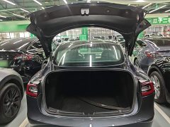 Tesla Model 3 Performance All-Wheel Drive - ფოტო 19