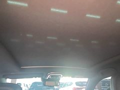 BYD Tang New Energy 2021 DM-i 112KM Premium Edition - ფოტო 18