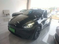 Tesla Model Y Rear-Wheel Drive - ფოტო 1