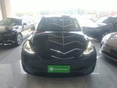 Tesla Model Y Rear-Wheel Drive - ფოტო 3