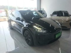 Tesla Model Y Rear-Wheel Drive - ფოტო 4