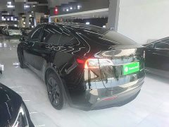 Tesla Model Y Rear-Wheel Drive - ფოტო 5
