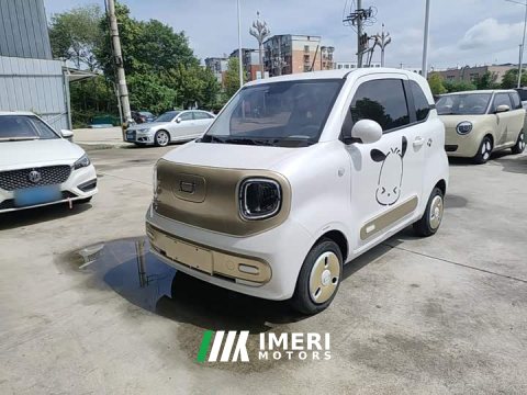 2025 FAW Besturn Xiaoma 222km Lightning Edition - ავტომობილი ჩინეთიდან