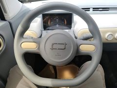 FAW Besturn Xiaoma 222km Lightning Edition - ფოტო 11