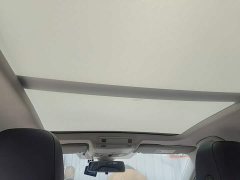 Volkswagen Sagitar 300TSI DSG Excellence Edition - ფოტო 18