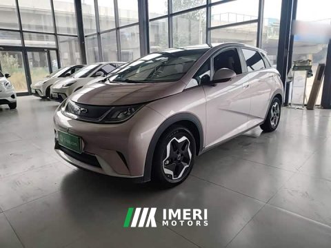 2022 BYD Dolphin 405km Fashion Edition - ავტომობილი ჩინეთიდან
