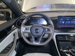 BYD Qin PLUS 2023 Champion Edition DM-i 55KM Leading - ფოტო 11