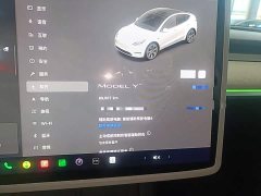 Tesla Model Y Rear-Wheel Drive - ფოტო 12