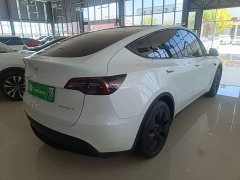 Tesla Model Y Rear-Wheel Drive - ფოტო 7