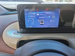 Wuling Binguo 333km Joy Edition - ფოტო 12