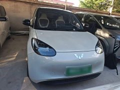 Wuling Binguo 333km Joy Edition - ფოტო 3