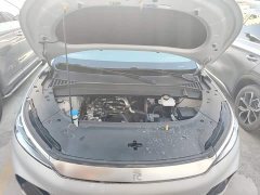 BYD Yuan Plus 430KM Premium Edition - ფოტო 20