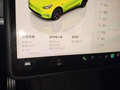 Tesla Model Y Rear-Wheel Drive - ფოტო 12