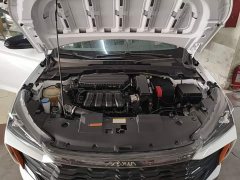 Dongfeng Yixuan 2024 1.5L Automatic Dynamic Speed Edition - ფოტო 20
