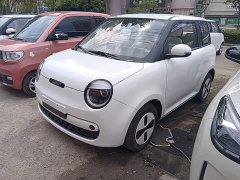 Changan Lumin Treasure Edition 205km Cool Love White CATL - ფოტო 1