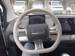 Changan Lumin Treasure Edition 205km Cool Love White CATL - ფოტო 11