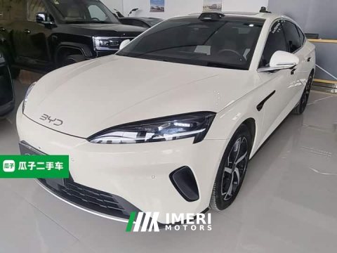 2025 BYD Dolphin 07 DM-i 2026 DM-i 1.5T 230km Flagship - ავტომობილი ჩინეთიდან