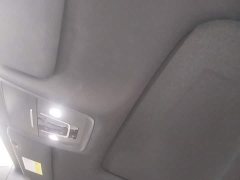 BYD Dolphin 07 DM-i 2026 DM-i 1.5T 230km Flagship - ფოტო 18