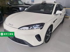 BYD Dolphin 07 DM-i 2026 DM-i 1.5T 230km Flagship - ფოტო 2