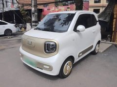 FAW Besturn Xiaoma 170km Vitality Edition - ფოტო 1