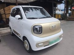 FAW Besturn Xiaoma 170km Vitality Edition - ფოტო 4