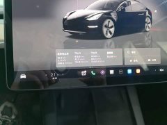 Tesla Model 3 2022 Rear-Wheel Drive - ფოტო 12
