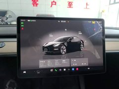Tesla Model 3 2022 Rear-Wheel Drive - ფოტო 13