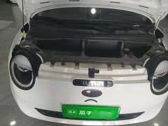 Changan Lumin 205km Pure Fragrance Edition - ფოტო 20