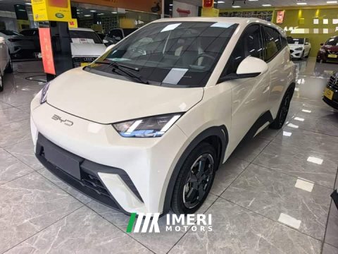 2023 BYD Seagull Freedom Edition - ავტომობილი ჩინეთიდან