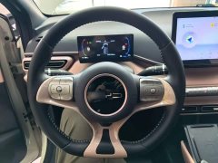 BYD Seagull Freedom Edition - ფოტო 11
