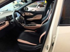 BYD Seagull Freedom Edition - ფოტო 15