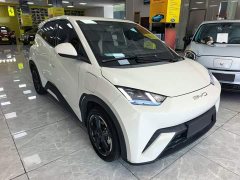 BYD Seagull Freedom Edition - ფოტო 4