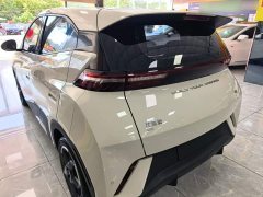 BYD Seagull Freedom Edition - ფოტო 5