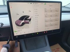 Tesla Model Y Rear-Wheel Drive - ფოტო 13