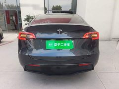 Tesla Model Y Rear-Wheel Drive - ფოტო 6
