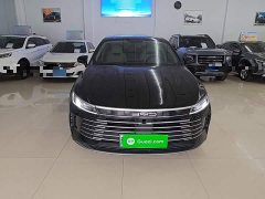 BYD Destroyer 05 2024 Glory Edition DM-i 55KM Luxury - ფოტო 3