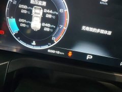 Tank 300 2023 Off-Road Edition 2.0T Conqueror - ფოტო 12