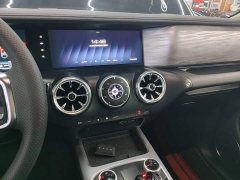Tank 300 2023 Off-Road Edition 2.0T Conqueror - ფოტო 13