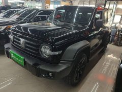 Tank 300 2023 Off-Road Edition 2.0T Conqueror - ფოტო 2