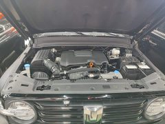 Tank 300 2023 Off-Road Edition 2.0T Conqueror - ფოტო 20