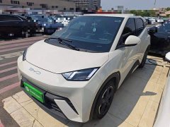 BYD Seagull Flying Edition - ფოტო 1