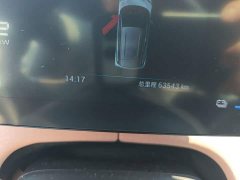 BYD Seagull Flying Edition - ფოტო 12